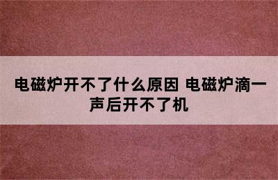 电磁炉开不了什么原因 电磁炉滴一声后开不了机